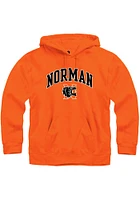 Rally Norman High School Tigers Mens Orange Arch Mascot Long Sleeve Hoodie