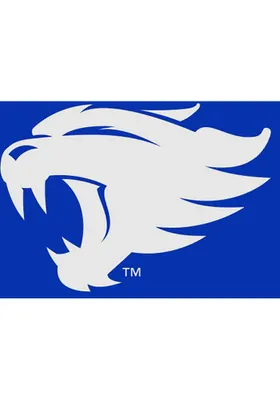 Kentucky Wildcats 3x5 ft Grommet Blue Silk Screen Grommet Flag