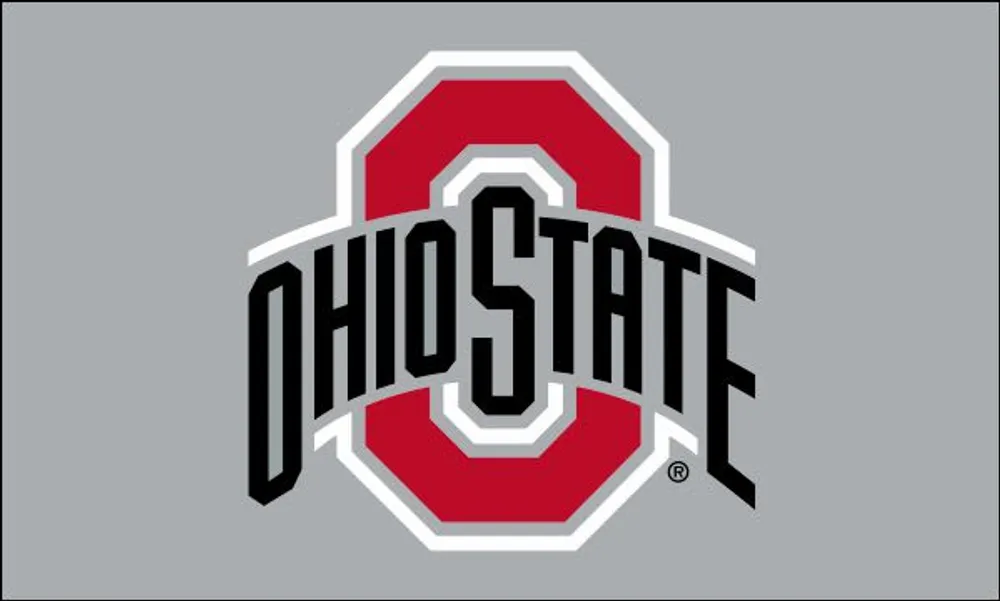 Ohio State Buckeyes 3x5 Ft Silk Screen Grommet Flag - Grey