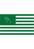 North Texas Mean Green Nations Silk Screen Grommet Flag - Green