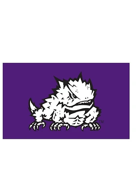 TCU Horned Frogs 3x5 Purple Grommet Silk Screen Grommet Flag - Purple