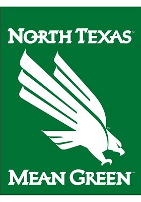 North Texas Mean Green 30x40 Green Silk Screen Banner - Green