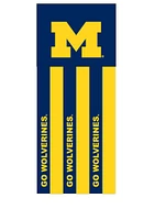 Michigan Wolverines 40 Inch Windsock