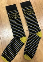Iowa Hawkeyes Stripe Pattern Mens Dress Socks