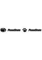 Penn State Nittany Lions 30x16 Fire Pit