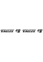 Georgia Southern Eagles 30x16 Fire Pit