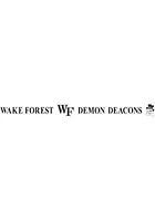 Wake Forest Demon Deacons 30x16 Fire Pit