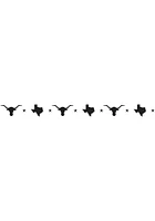 Texas Longhorn Stars Fire Pit