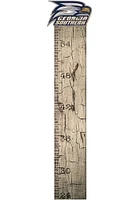 Georgia Southern Eagles Growth Chart Sign - Blue