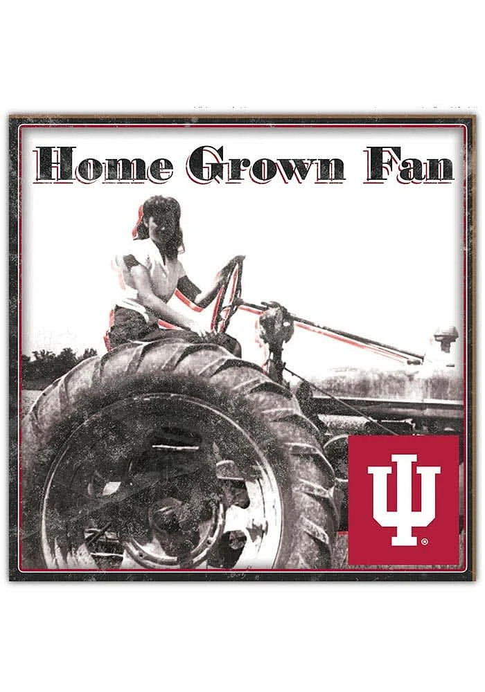 Indiana Hoosiers Aluminum Can Sign - Red