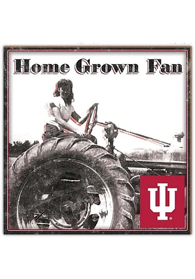Indiana Hoosiers Aluminum Can Sign - Red