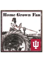 Indiana Hoosiers Aluminum Can Sign - Red