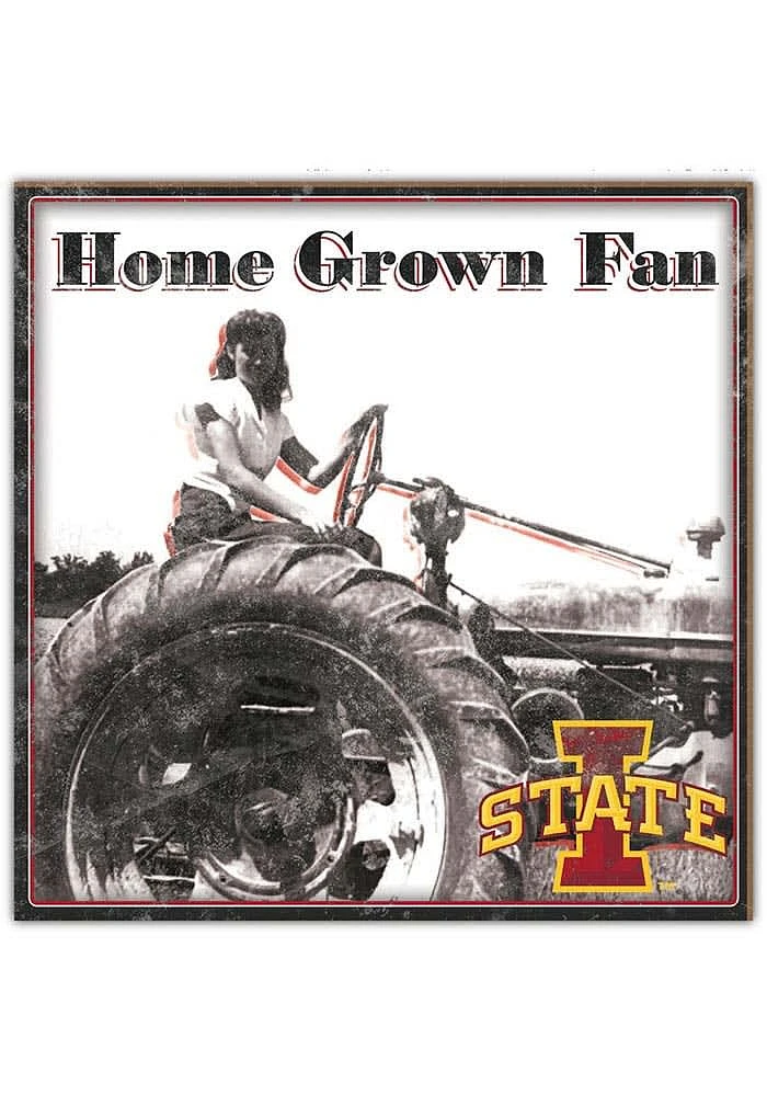 Iowa State Cyclones Aluminum Can Sign - Red
