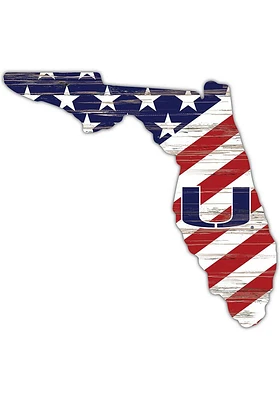 Miami Hurricanes 12 Inch USA State Cutout Sign - Orange