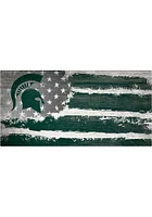 Michigan State Spartans Flag 6x12 Sign - Green