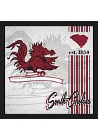 South Carolina Gamecocks Album Sign - Red