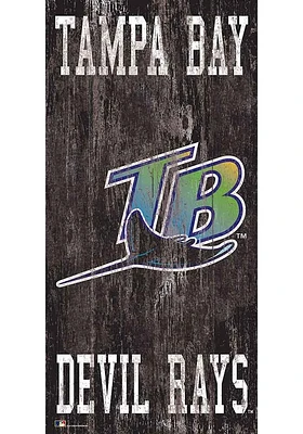 Tampa Bay Rays Heritage Logo 6x12 Sign - Blue
