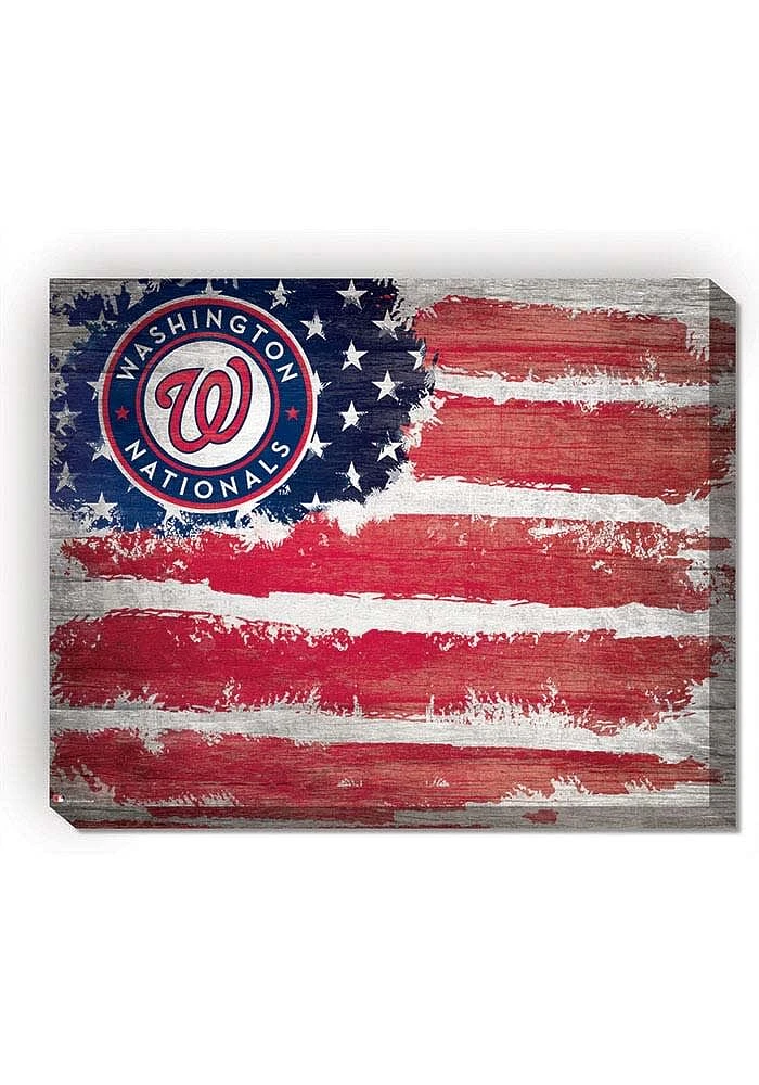 Washington Nationals Flag 16x20 Wall Art