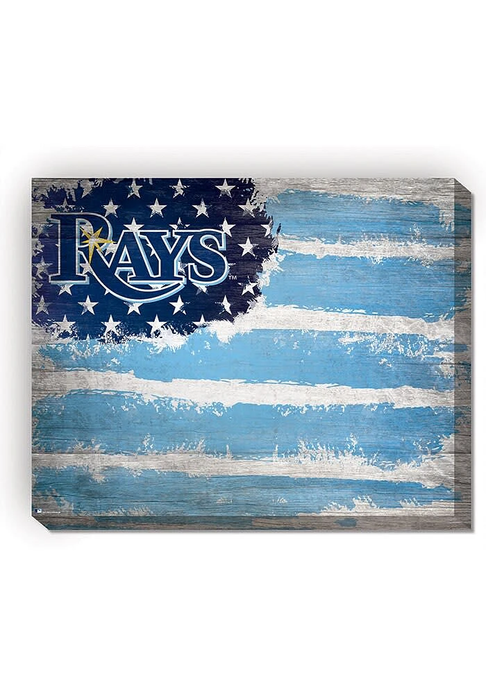 Tampa Bay Rays Flag 16x20 Wall Art