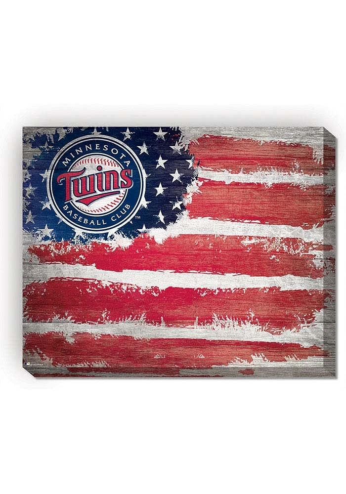 Minnesota Twins Flag 16x20 Wall Art