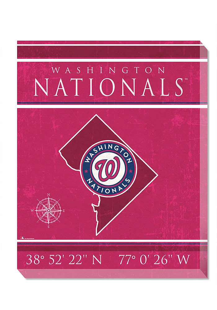 Washington Nationals Coordinates 16x20 Wall Art