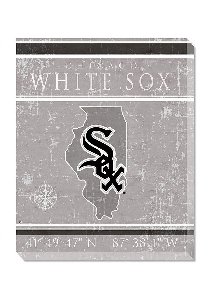 Chicago White Sox Coordinates 16x20 Wall Art