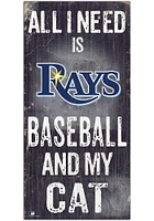 Tampa Bay Rays Baseball and My Cat Sign