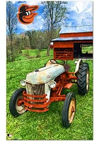 Baltimore Orioles Farmscape Sign
