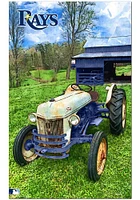 Tampa Bay Rays Farmscape Sign