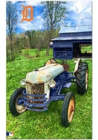 Detroit Tigers Farmscape Sign