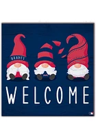 Atlanta Braves Welcome Gnomes Sign