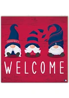 St Louis Cardinals Welcome Gnomes Sign