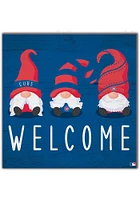 Chicago Cubs Welcome Gnomes Sign