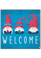Miami Marlins Welcome Gnomes Sign