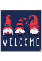 Boston Red Sox Welcome Gnomes Sign