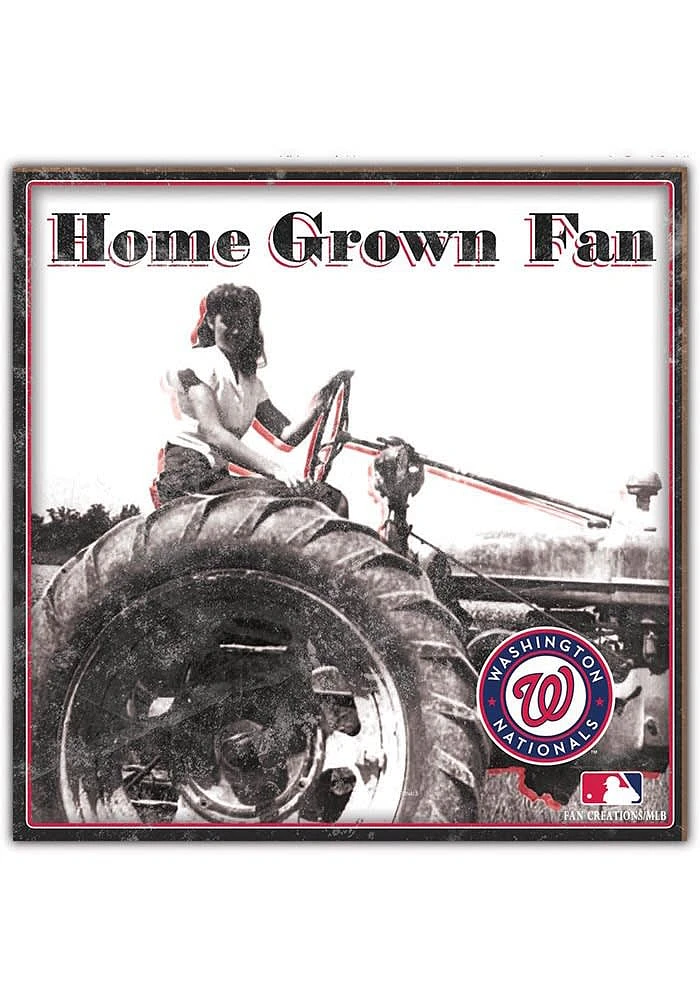 Washington Nationals Aluminum Can Sign