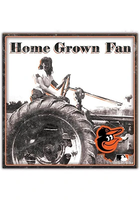 Baltimore Orioles Aluminum Can Sign - Orange