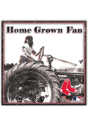 Boston Red Sox Aluminum Can Sign