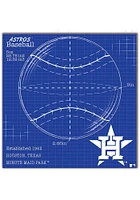 Houston Astros Ball Blueprint Sign