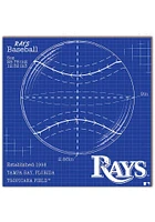 Tampa Bay Rays Ball Blueprint Sign