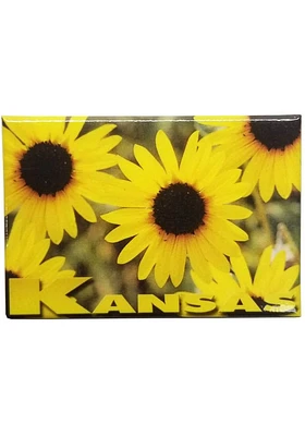 Kansas Sunflower Design Magnet