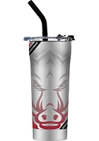 Arkansas Razorbacks Straw Stainless Steel Tumbler -