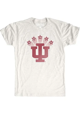 Indiana Hoosiers Oatmeal Vintage Championships Short Sleeve Fashion T Shirt