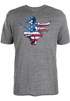 Texas Longhorns Grey American Bevo Short Sleeve Fashion T Shirt