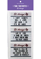 Texas Set of 3 Magnet