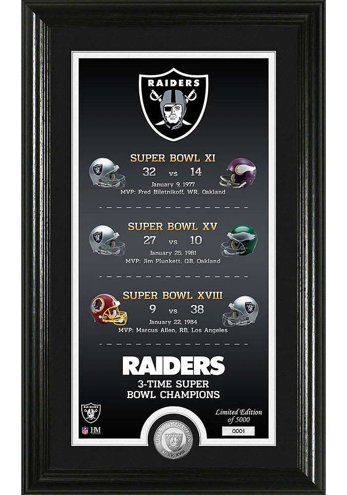 Las Vegas Raiders Legacy Bronze Coin Photo Mint Plaque