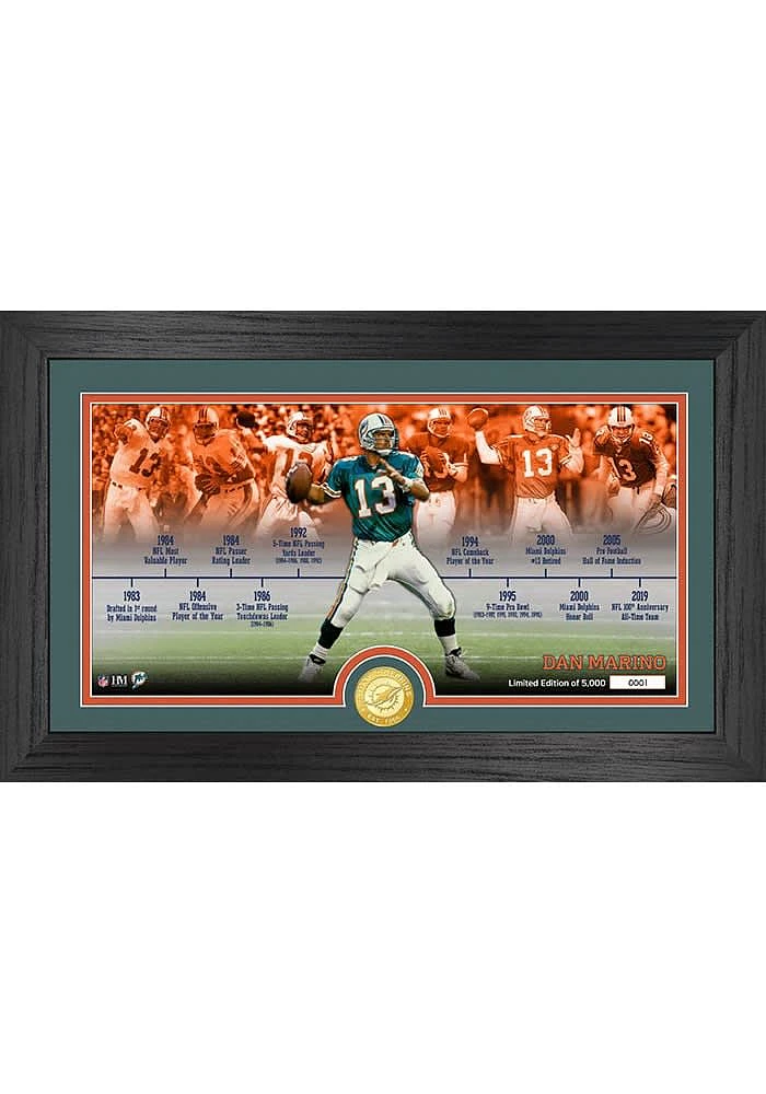 Dan Marino Miami Dolphins Career Timeline Photo Pano Plaque