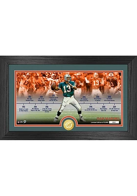 Dan Marino Miami Dolphins Career Timeline Photo Pano Plaque