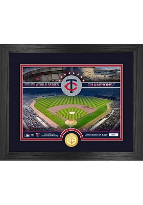 Minnesota Twins Stadium Photo and Coin Plaque