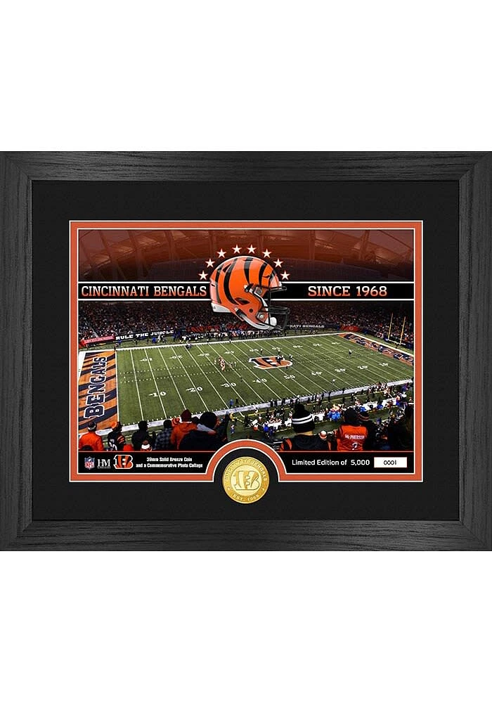 Cincinnati Bengals Stadium Silver Coin and Photo Plaque